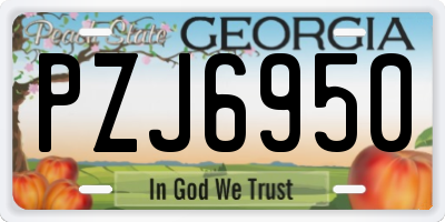 GA license plate PZJ6950