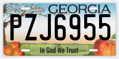 GA license plate PZJ6955