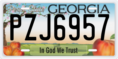 GA license plate PZJ6957