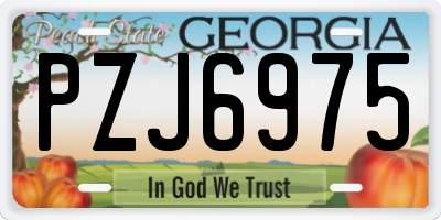 GA license plate PZJ6975