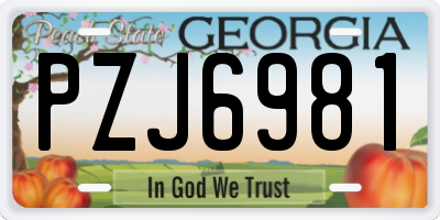 GA license plate PZJ6981