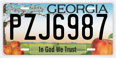 GA license plate PZJ6987