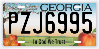 GA license plate PZJ6995