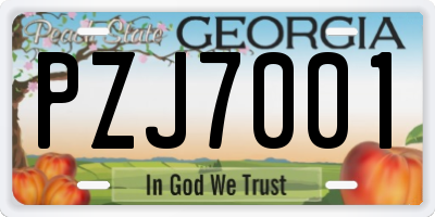 GA license plate PZJ7001