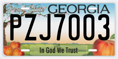 GA license plate PZJ7003