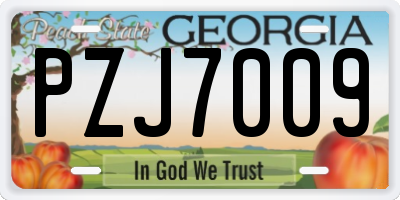 GA license plate PZJ7009