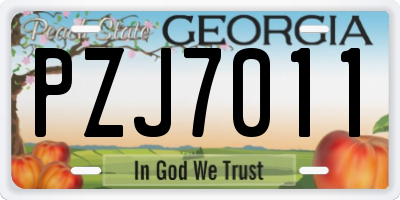 GA license plate PZJ7011