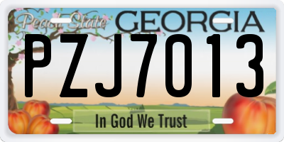 GA license plate PZJ7013