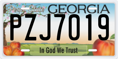 GA license plate PZJ7019
