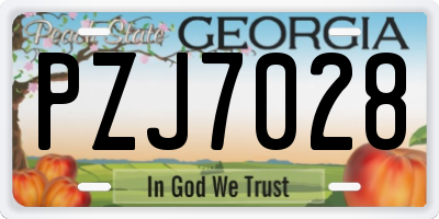 GA license plate PZJ7028