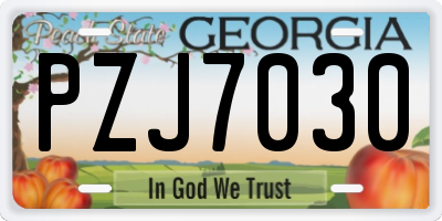 GA license plate PZJ7030