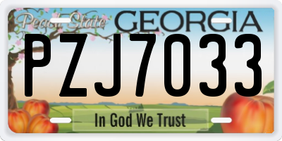 GA license plate PZJ7033