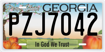 GA license plate PZJ7042