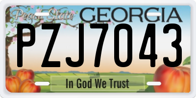 GA license plate PZJ7043