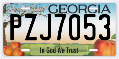 GA license plate PZJ7053
