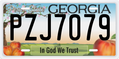 GA license plate PZJ7079