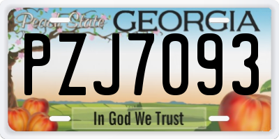 GA license plate PZJ7093