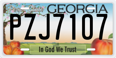 GA license plate PZJ7107
