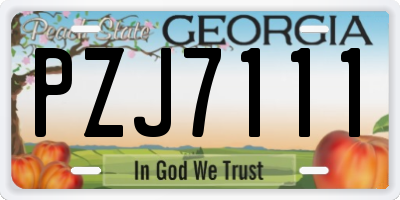 GA license plate PZJ7111