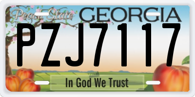 GA license plate PZJ7117