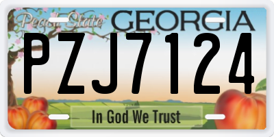 GA license plate PZJ7124