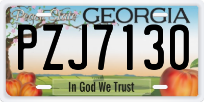 GA license plate PZJ7130