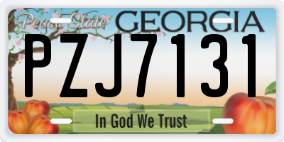 GA license plate PZJ7131