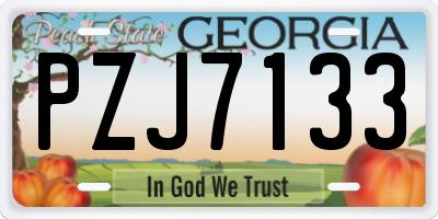 GA license plate PZJ7133