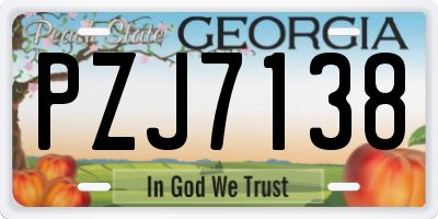 GA license plate PZJ7138