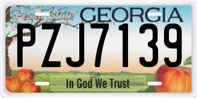GA license plate PZJ7139