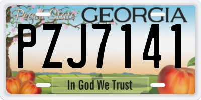 GA license plate PZJ7141