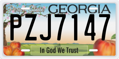 GA license plate PZJ7147