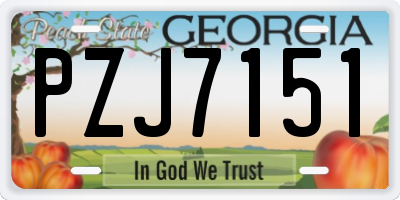 GA license plate PZJ7151