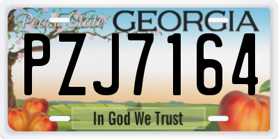 GA license plate PZJ7164