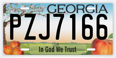 GA license plate PZJ7166