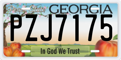 GA license plate PZJ7175