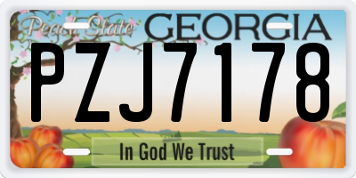 GA license plate PZJ7178