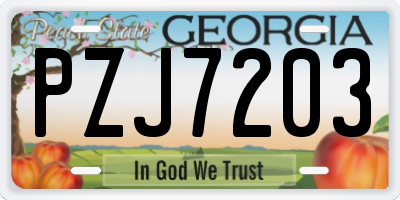 GA license plate PZJ7203