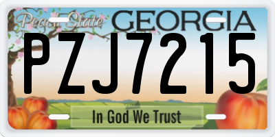 GA license plate PZJ7215