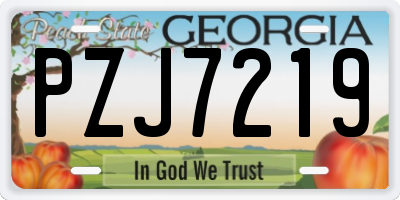 GA license plate PZJ7219