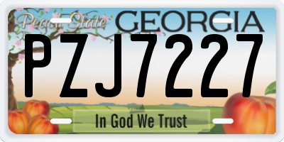 GA license plate PZJ7227