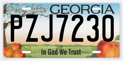 GA license plate PZJ7230