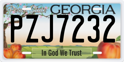 GA license plate PZJ7232