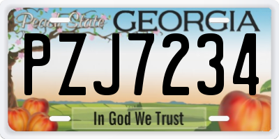GA license plate PZJ7234