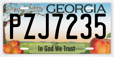 GA license plate PZJ7235