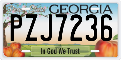 GA license plate PZJ7236