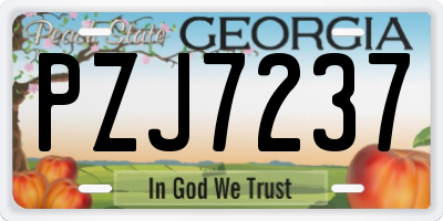GA license plate PZJ7237