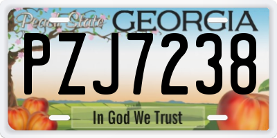 GA license plate PZJ7238