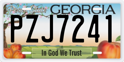 GA license plate PZJ7241