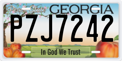 GA license plate PZJ7242
